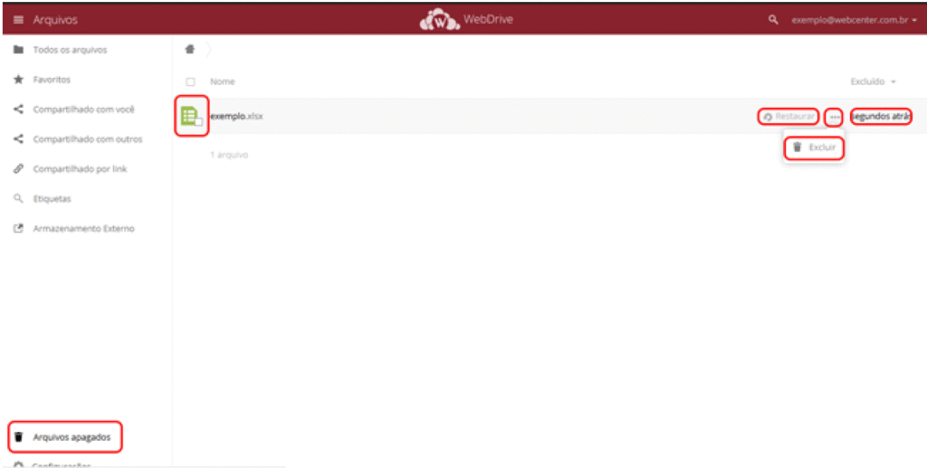 Recuperar arquivos excluídos e fazer versionamento de arquivos